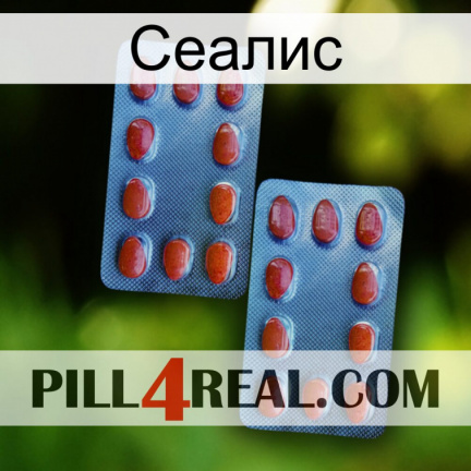 Сеалис 05